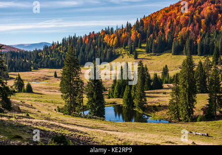 Étang dans les montagnes des Carpates à l'automne au lever du soleil. une forêt mixte sur les pentes du parc national apuseni en Roumanie. bihor Mountain Ridge dans la distance Banque D'Images