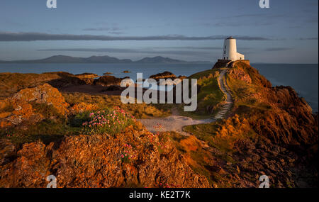 Phare de l'île Llanddwyn (Tŵr Mawr) sur l'île Llanddwyn, Anglesey (Ynys Mon), pays de Galles, Royaume-Uni Banque D'Images