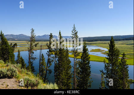 Hayden Valley dans le parc national de Yellowstone Banque D'Images