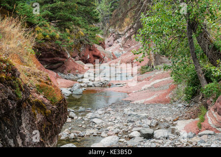 Red Rock Canyon à Waterton Lakes National Park, Alberta, Canada Banque D'Images