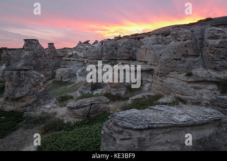 Des formations rocheuses et des cheminées au coucher du soleil au parc provincial Writing-on-Stone, Alberta, Canada. Banque D'Images