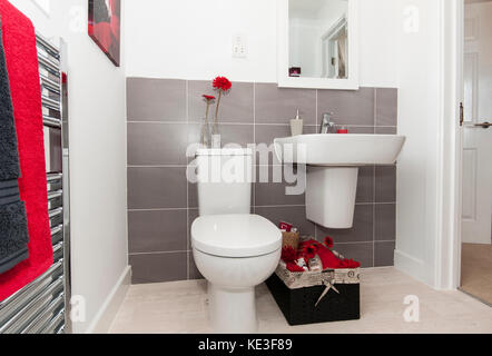 Salle de bain avec sèche-serviettes chrome Banque D'Images