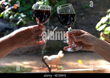 (171018) -- CIENFUEGOS, Oct. 18, 2017 (Xinhua) -- image prise le 12 Oct. 2017, montre des gens grillant avec du vin artisanal à San Blas, province de Cienfuegos, Cuba. Il y a cinq ans, Orelvis Rodriguez a décidé de se lancer dans la vinification sur la suggestion d'un ami, et maintenant il est un vigneron bien connu. Ici, dans la petite ville de San Blas, Bodegas Rodriguez, ou la cave Rodriguez, est devenu connu pour sa vinification artisanale, sans l'utilisation d'additifs chimiques. (Xinhua/Joaquin Hernandez) (ma) (da) (axie) Banque D'Images