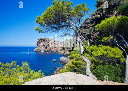 Sa Foradada, dans le nord-ouest de Majorque, Espagne Banque D'Images