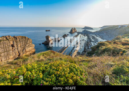 Arnia Beach, Cantabria, ESPAGNE Banque D'Images