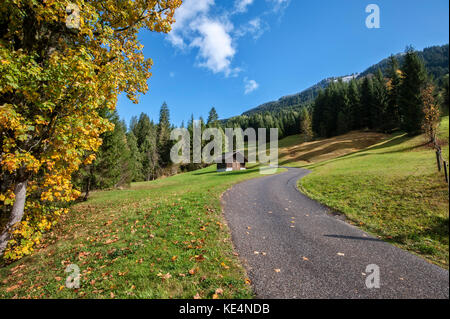 Automne à Kleinwalsertal (vallée de Little Walser)/Vorarlberg près de Hirschegg. Banque D'Images