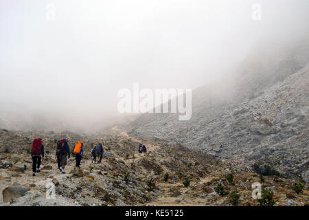 La randonnée du mont papandayan. pas une très haute montagne, car il peut facilement être parcouru en une journée. pic a été prise à Garut, août 2014. Banque D'Images