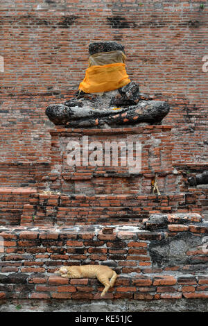 Plus près de Ayutthaya historical park. a unesco world heritage rempli par des temples et statues de Bouddha. pic a été prise en Thaïlande, janvier 2015. Banque D'Images