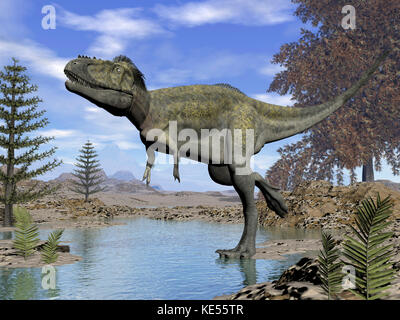 Dinosaure alioramus marcher dans un ruisseau. Banque D'Images