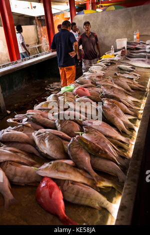 Les Seychelles, Mahe, Sir Selwyn Selwyn-Clarke Market, décrochage du poisson Banque D'Images