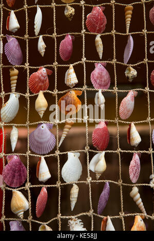 Les Seychelles, Mahe, Sir Selwyn Selwyn-Clarke Market, de souvenirs, de décrochage des coquillages affiché en résultat net Banque D'Images