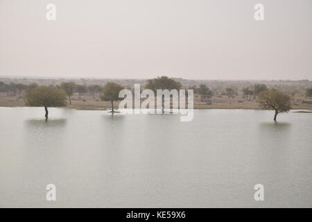 L'intérieur de cénotaphes gadsisar lac artificiel à Jaisalmer, Rajasthan, India Banque D'Images