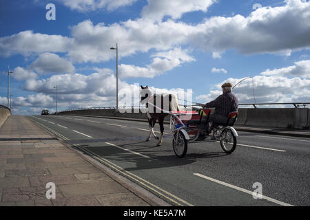 Un vieil homme à l'aide d'un cheval et le piège que le transport à cheval sur le pont à péage Itchen à Southampton en Angleterre. Banque D'Images
