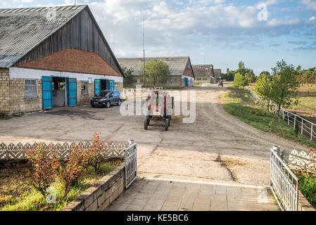 Nikitin Kolkhoz à Ivanovka village, l'Azerbaïdjan. Ivanovka est un village avec une population russe principalement qui a maintenu la dernière Kolkhoz en Azerbaïdjan. Banque D'Images