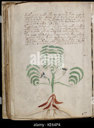 Manuscrit de Voynich (120) Banque D'Images