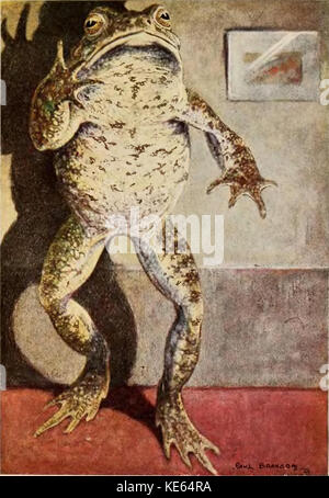 Vent dans les saules Paul Bransom Mr Toad debout Banque D'Images