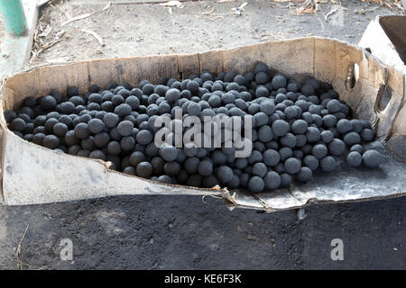 Boules de briquettes pour foyers africains fabriqués à partir de la poussière de charbon dans des séchoirs redémarrer gilgil Afrique Kenya Banque D'Images