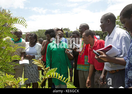 Les enseignants africains visiter un jardin de fines herbes avec des plantes médicinales redémarrer l'Afrique Kenya gilgil Banque D'Images