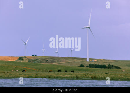 De nombreuses éoliennes en zone rurale agricole de l'Australie Banque D'Images