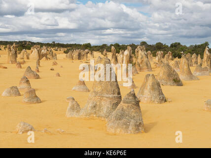 Les dunes de sable jaune et de piliers de calcaire dans le Désert des Pinnacles le parc national de Nambung, dans l'ouest de l'Australie. selective focus sur le devant des rochers. Banque D'Images