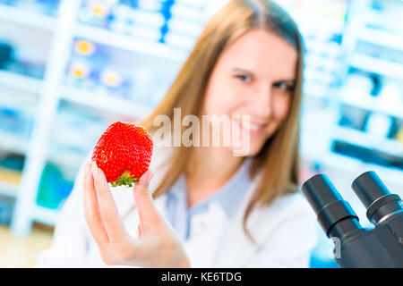 La recherche de fraise en laboratoire. traitement et contrôle de la qualité des aliments Banque D'Images