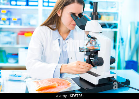 La recherche du poisson en laboratoire. La transformation des aliments et du poisson de contrôle de la qualité Banque D'Images