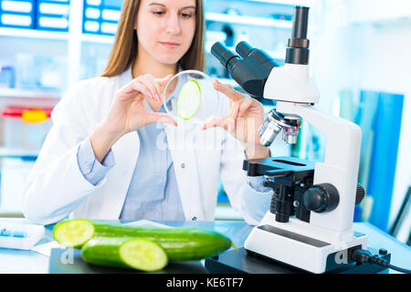 Contrôler les fruits et légumes pour les éléments nocifs. laboratoire de qualité de l'inspection des aliments Banque D'Images