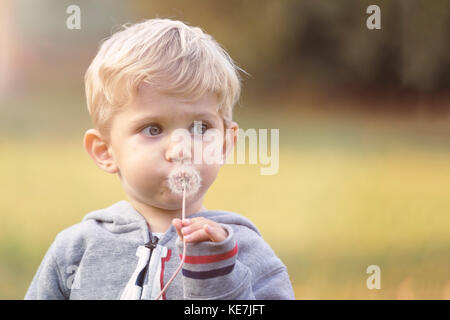 Portrait of baby boy blowing dandelion outdoor le parc, blured contexte et utilisé split toning. Banque D'Images