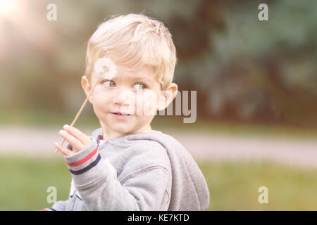 Mignon petit enfant jouant avec le pissenlit dans le parc, l'arrière-plan et blured utilisé split toning Banque D'Images