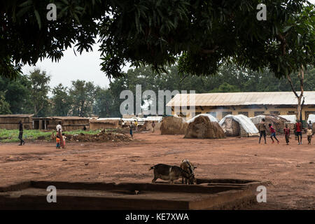 Des milliers ont été tués depuis la République centrafricaine est tombé dans un lent barattage de la guerre civile à la suite d'un coup en 2013. près d'un million d'autres ont fui leur foyer par crainte de prendre une balle perdue ou de devenir les victimes de meurtres ciblés. aujourd'hui, le gouvernement démocratiquement élu de voiture exerce peu ou pas de pouvoir en dehors de la capitale, Bangui. plus d'une douzaine de groupes armés contrôlent de vastes étendues du pays, l'exercice de leurs propres marques de l'autorité de taxation à la justice. Banque D'Images