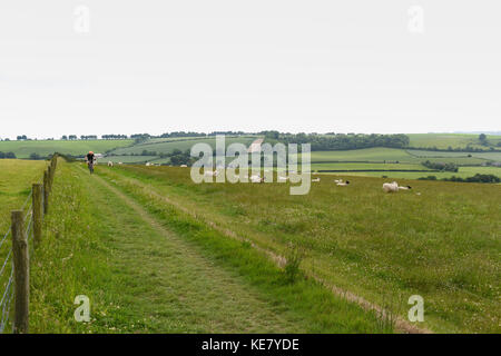 Le dirigeant d'une des promenades en vélo de montagne à travers le South Downs Way un sentier qui va de Winchester à Eastbourne Banque D'Images