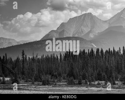 Paysage noir et blanc des montagnes rocheuses canadiennes robuste avec une forêt et une rivière au premier plan ; Invermere (Colombie-Britannique), Canada Banque D'Images