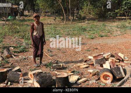 Nyaunghtaw village est sur la gauche (est) de la rivière Irrawaddy dans la province de l'Ayeyarwaddy au Myanmar (Birmanie). Un homme de bois de séparation avec une hache. Banque D'Images