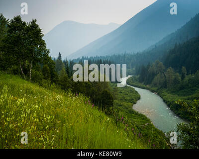 La rivière Columbia, qui coule à travers les montagnes Selkirk de forêts et de fleurs sauvages sur les pentes, Revelstoke, British Columbia, Canada Banque D'Images