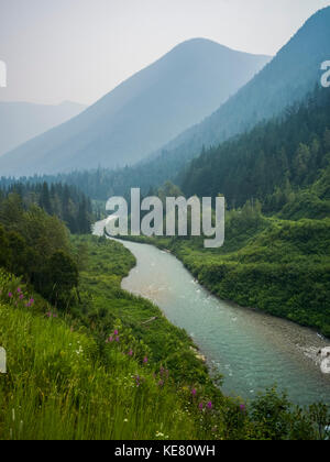 La rivière Columbia, qui coule à travers les montagnes Selkirk de forêts et de fleurs sauvages sur les pentes, Revelstoke, British Columbia, Canada Banque D'Images