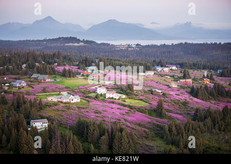 Vue aérienne de Diamond Ridge et champs de l'Épilobe avec les montagnes en arrière-plan de Kenai, Southcentral Alaska, USA Banque D'Images