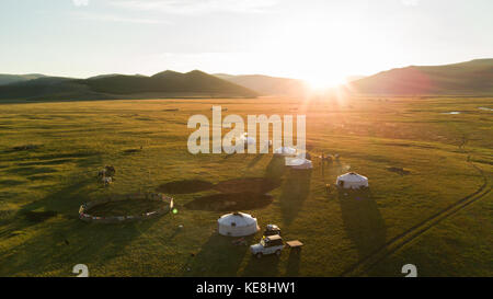 Vue aérienne de la famille gers en fin d'après-midi. khuvsgol, la Mongolie. Banque D'Images