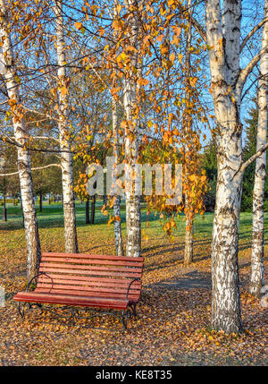 Paysage d'automne très colorés dans city park, banc en bois sous le blanc bouleau arbres sur le tapis de feuilles tombées orange à sunny day Banque D'Images