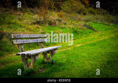 Un vieux banc à kobernausser wald, la plus grande zone boisée en Europe centrale. Banque D'Images