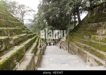 Repetto Noémie / Le pictorium - Népal - Katmandou. temple de Pashupatinath. patrimoine mondial depuis 1979. - 20/09/2017 - Népal Katmandou / / Kathmandu - Népal - Katmandou. temple de Pashupatinath. patrimoine mondial depuis 1979. Banque D'Images