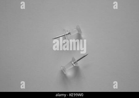 Deux punaises claire face à des directions opposées. Banque D'Images