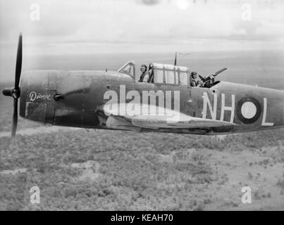 Pas de 12 bombardier en piqué de l'Escadron de vengeance en vol près de Merauke en décembre 1943 Banque D'Images