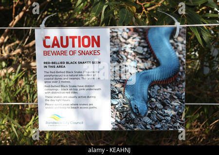 "Attention Méfiez-vous des serpents' sur une piste à côté de Maroubra Beach met en garde contre les serpents noir à ventre rouge. Banque D'Images