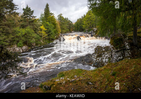 Cassley ou Achness Falls sur la rivière Cascade près de Cassley Rosehall, Sutherland, les Highlands écossais, UK Banque D'Images