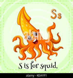 Alphabet flashcard s est pour squid Illustration de Vecteur