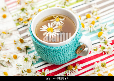 De camomille dans une tasse recouverte de laine Banque D'Images