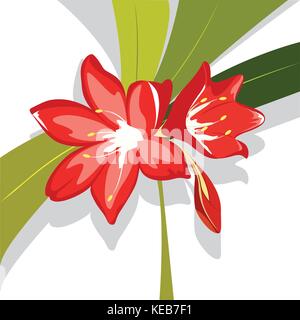 Flower Red lily vector illustration Illustration de Vecteur