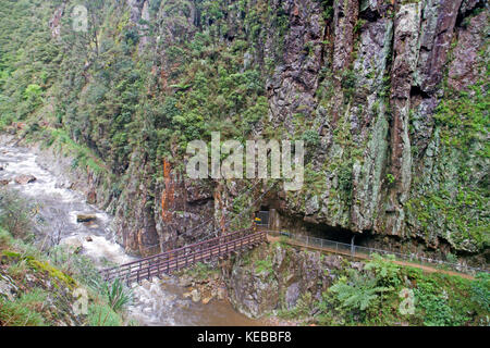 Pont sur la gorge de karangahake windows en marche Banque D'Images