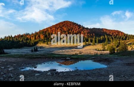 Avec la montagne forêt d'automne se reflétant dans une flaque d'eau. beau paysage du matin Banque D'Images