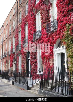 Portes géorgiennes - Dublin, Irlande Banque D'Images